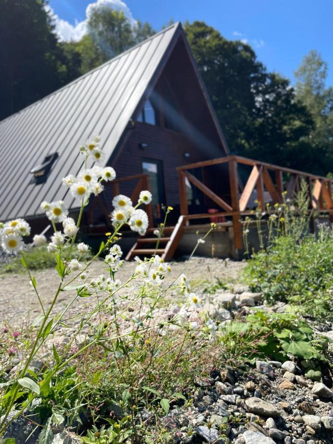 Wild Cabin Málaháza Kültér fotó