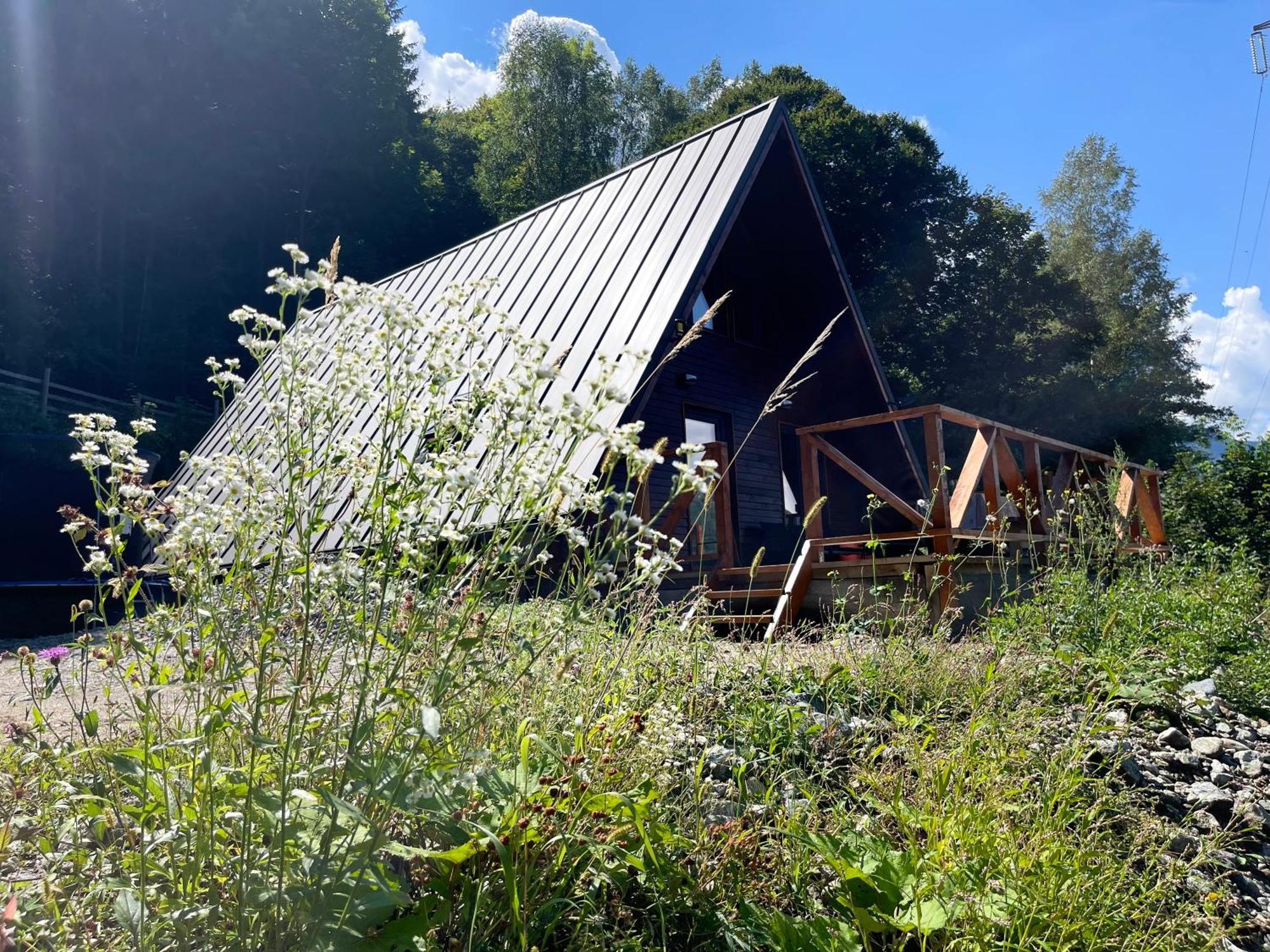 Wild Cabin Málaháza Kültér fotó