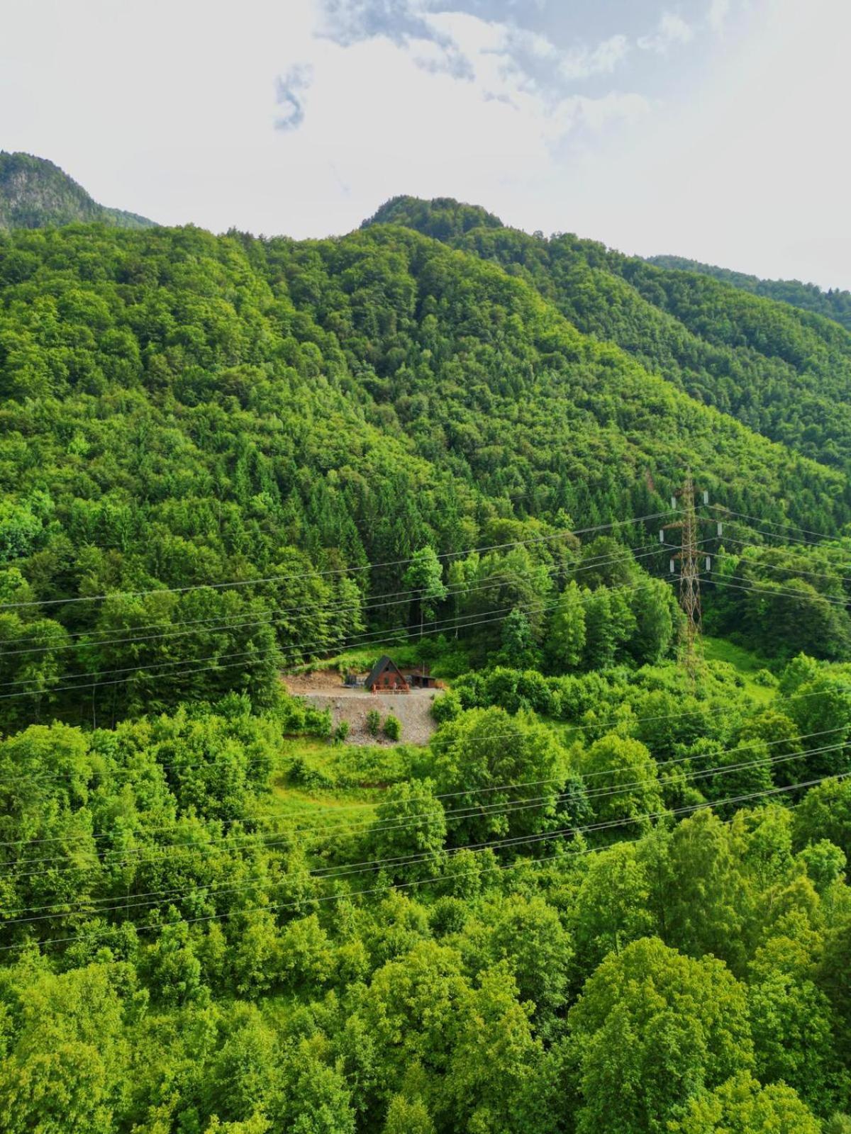 Wild Cabin Málaháza Kültér fotó